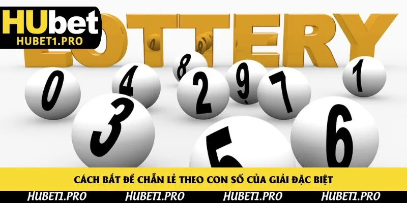 Cách bắt đề chẵn lẻ theo con số của giải đặc biệt