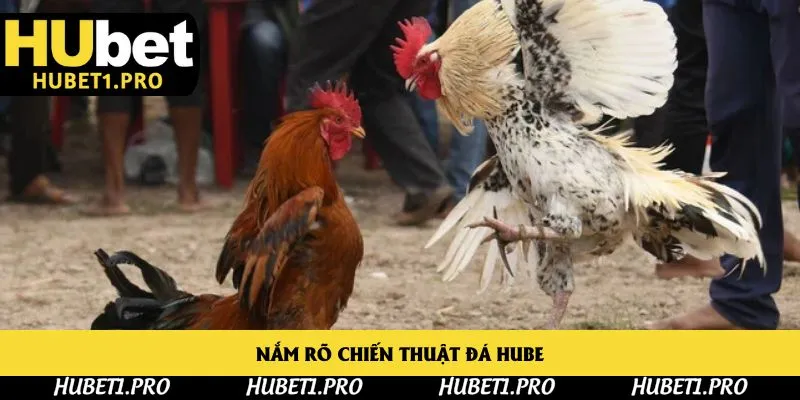 Nắm rõ chiến thuật đá Hube