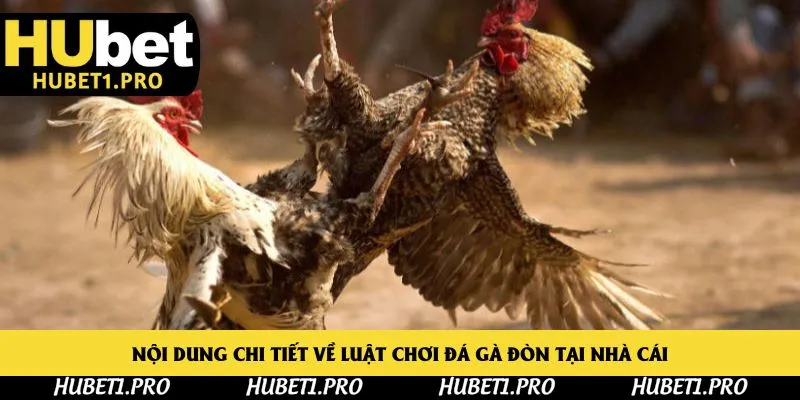 Nội dung chi tiết về luật chơi đá gà đòn tại nhà cái