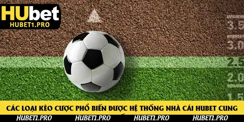 Các loại kèo cược phổ biến được hệ thống nhà cái Hubet cung cấp