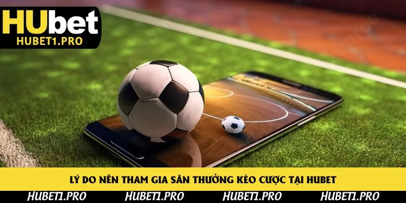 Lý do nên tham gia săn thưởng kèo cược tại Hubet