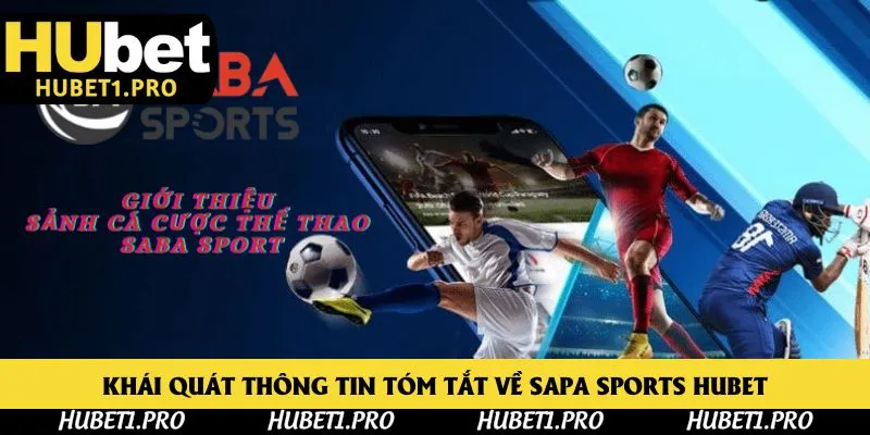 Khái quát thông tin tóm tắt về Sapa Sports Hubet