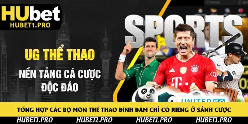 Tổng hợp các bộ môn thể thao đình đám chỉ có riêng ở sảnh cược